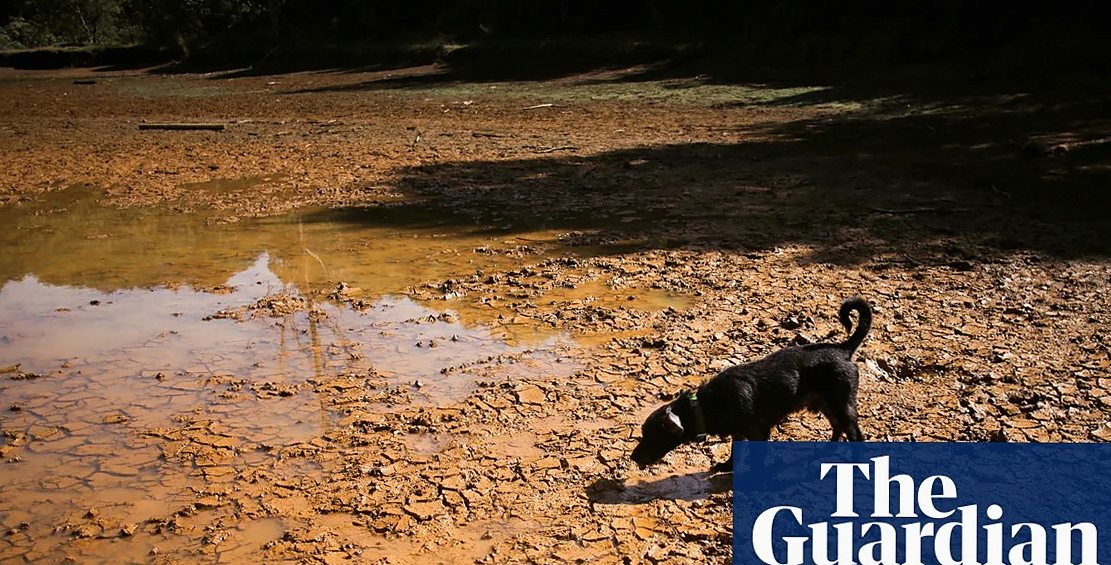El Niño Explained: Causes, Current Strength, and Ways to Manage Risk
